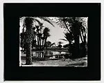 Oasis with doum palms and distant figures in the water
