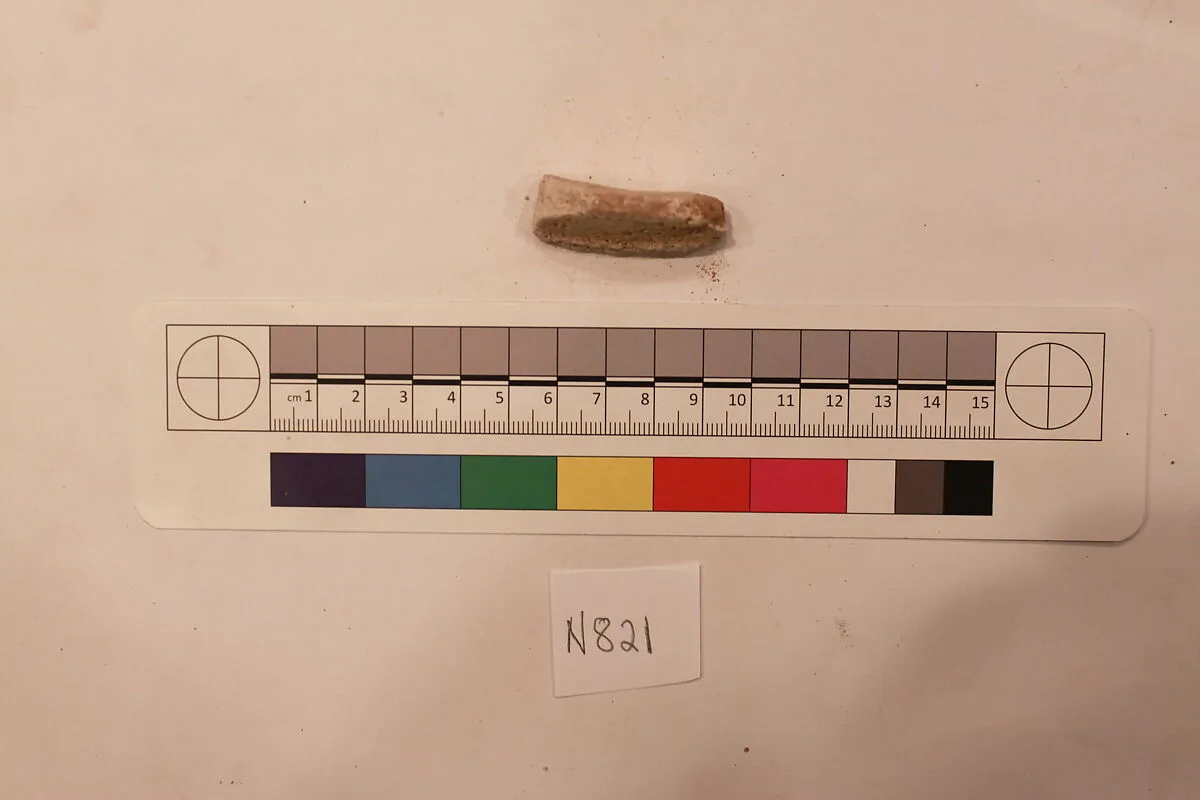 Stucco Fragment — Unknown