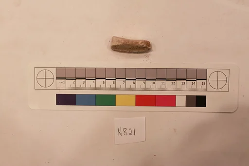 Stucco Fragment