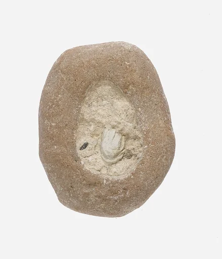 Mold with Unfired Frit Still Present