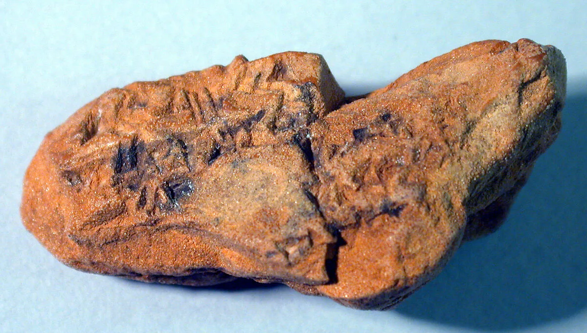 Cuneiform tablet: fragment, Ebabbar archive — Unknown