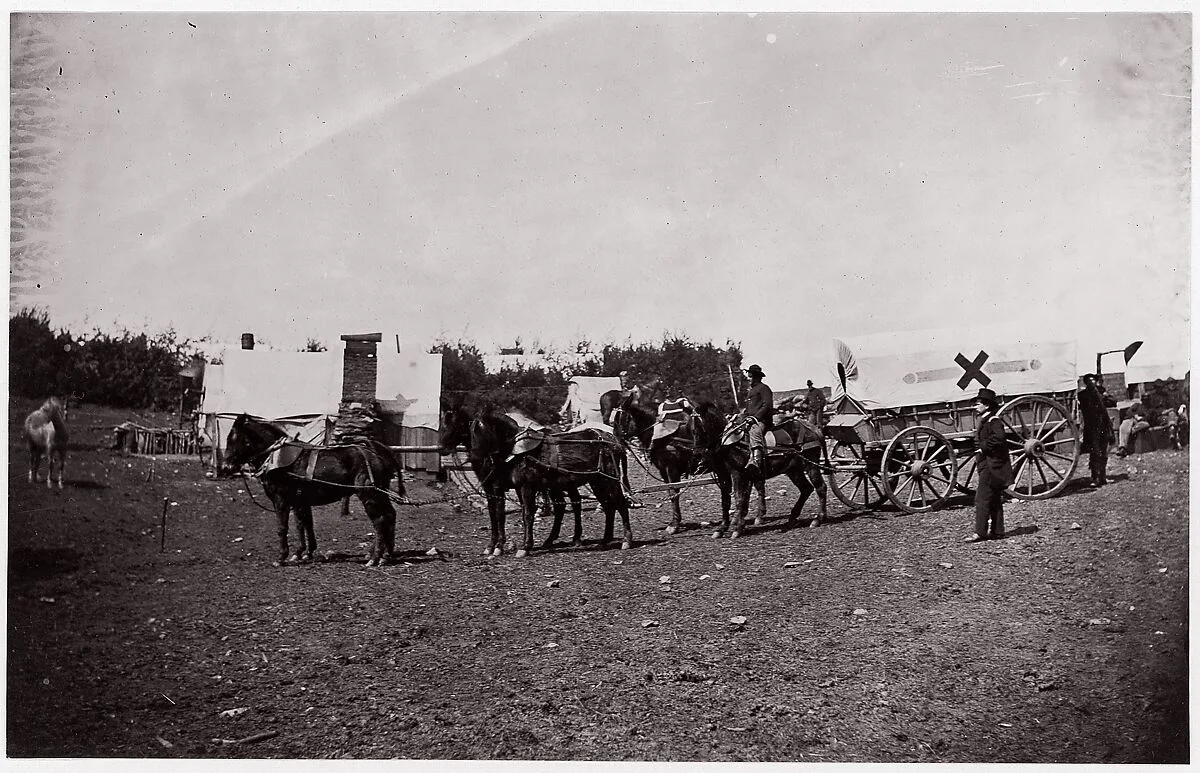 The Crack Team of the 1st Division, 6th Corps near Hazel River, Virginia — Mathew B. Brady|Timothy H. O'Sullivan