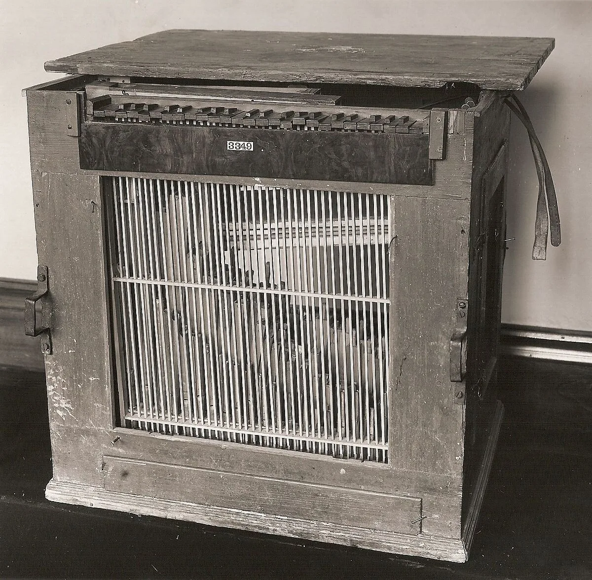 Chest Organ — Unknown
