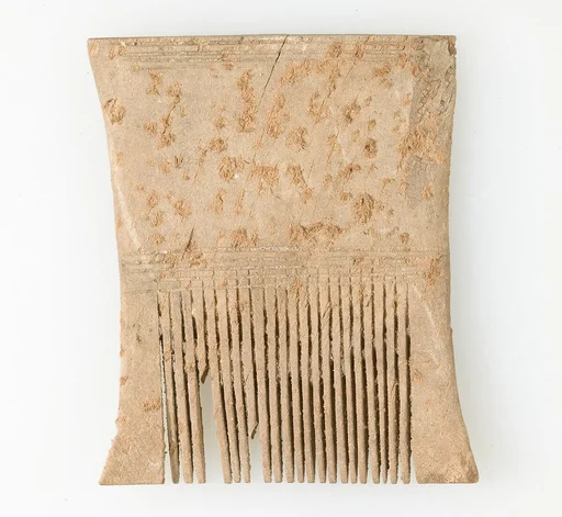Comb