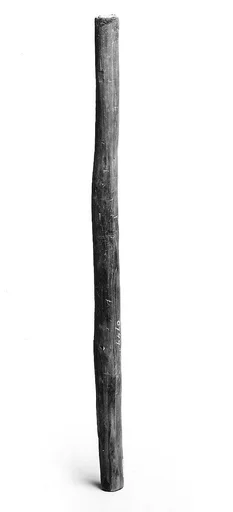 Whistle
