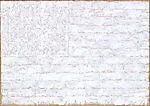 Flag — Jasper Johns