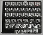 [Contact sheet]