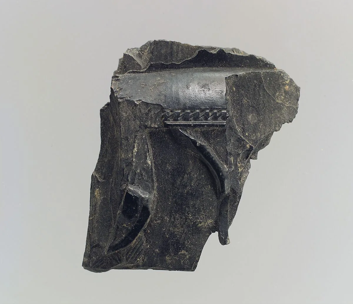 Pyxis fragment — Unknown