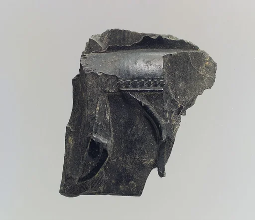 Pyxis fragment