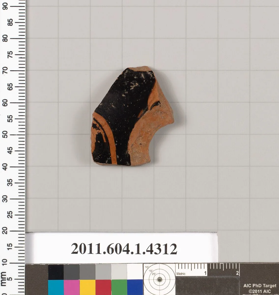 Terracotta fragment of a kylix (drinking cup) — Unknown
