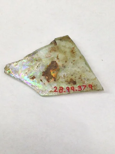 Fragment