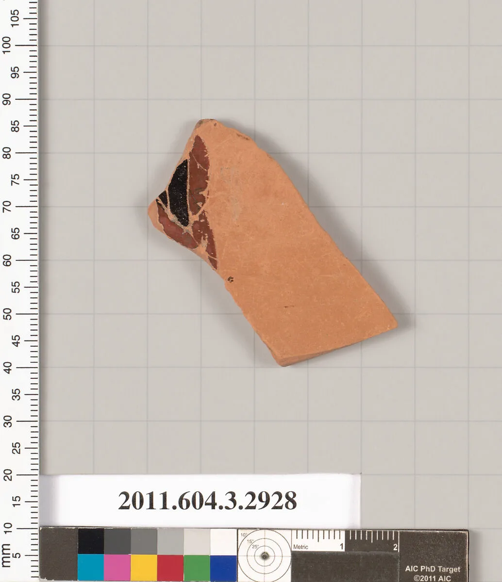 Terracotta fragment of a closed shape — Unknown