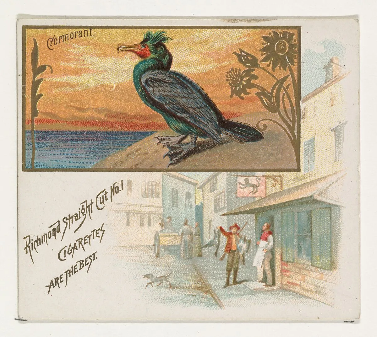 Cormorant, from the Game Birds series (N40) for Allen & Ginter Cigarettes — Allen & Ginter