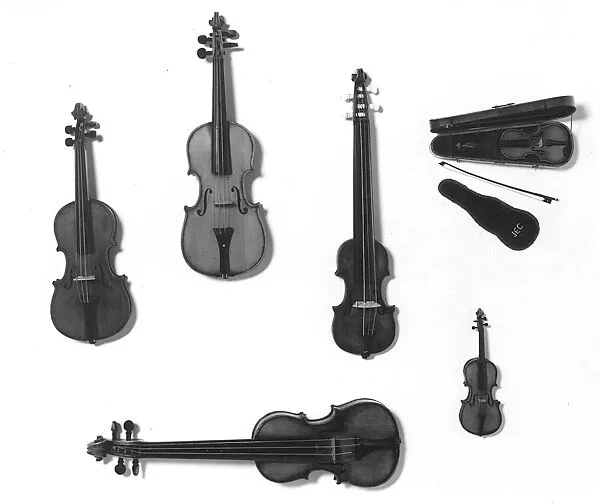 Miniature Viola — Unknown