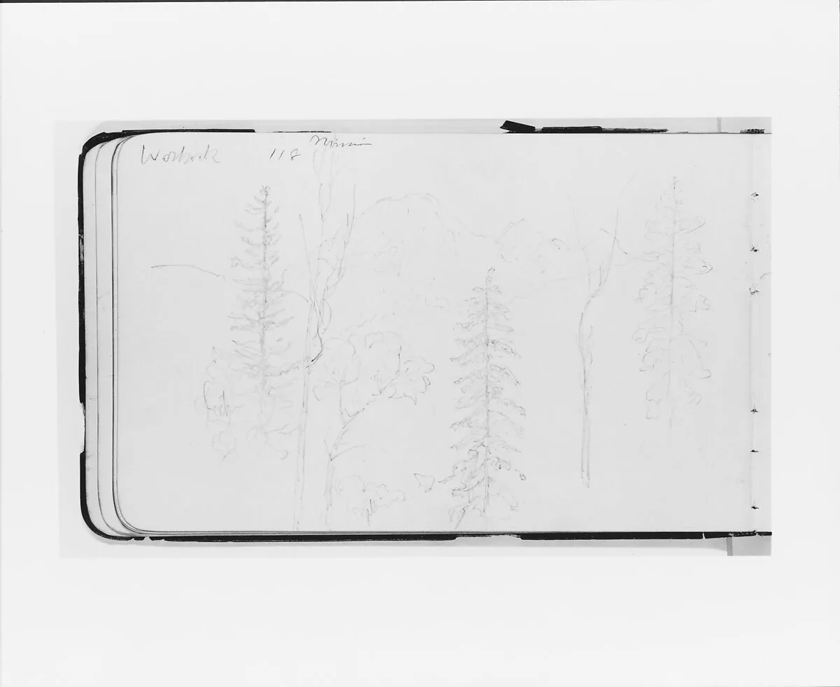 Mission (Warnock?): Landscape with Mountains and Foreground Trees (from Sketchbook) — Albert Bierstadt