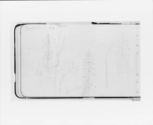 Mission (Warnock?): Landscape with Mountains and Foreground Trees (from Sketchbook)