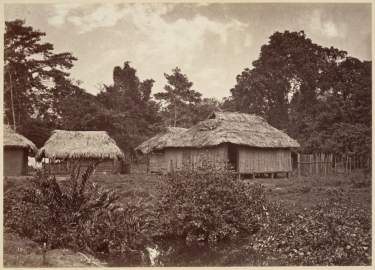 Tropical Scenery, Turbo Village — John Moran