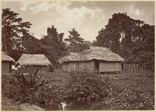 Tropical Scenery, Turbo Village