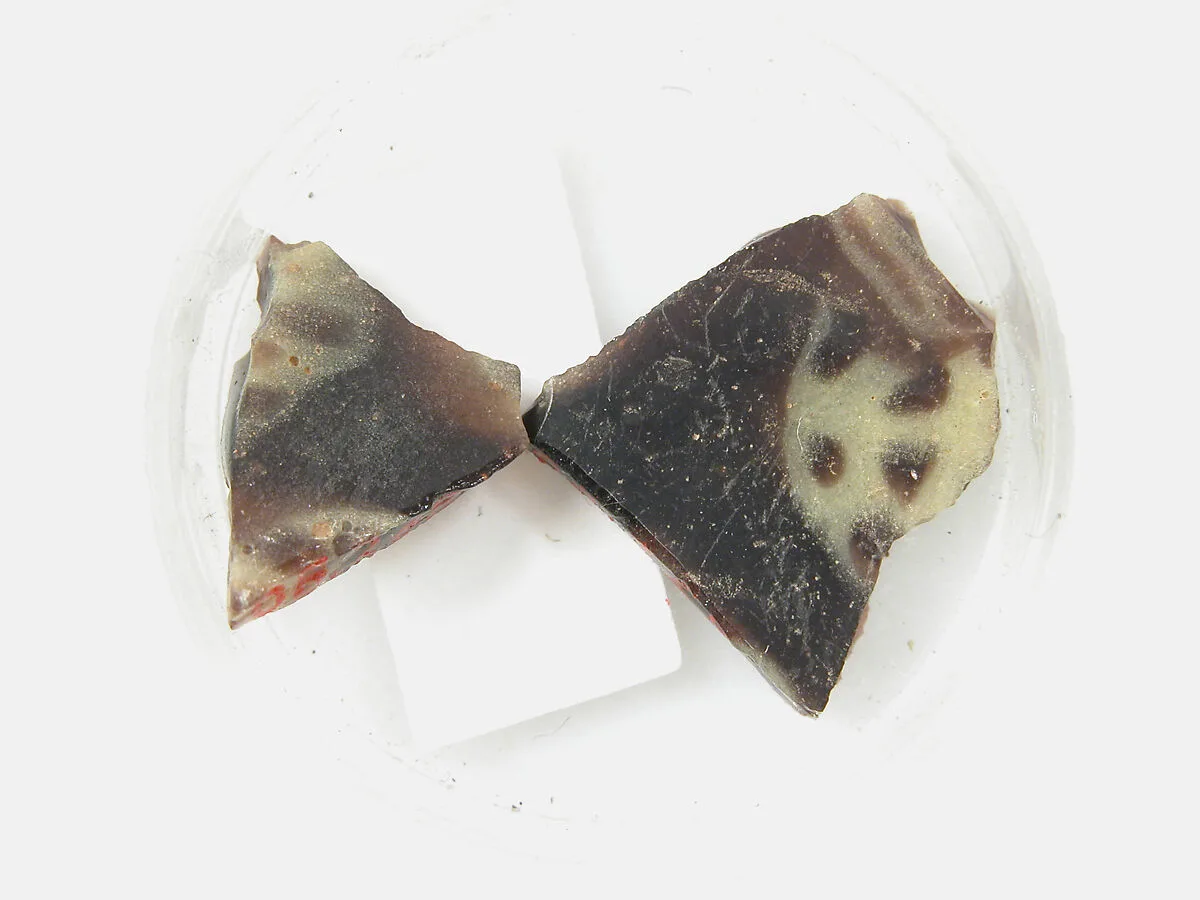 Glass Fragments from a Vessel — Unknown