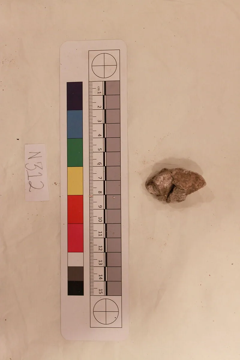 Stucco Fragment — Unknown
