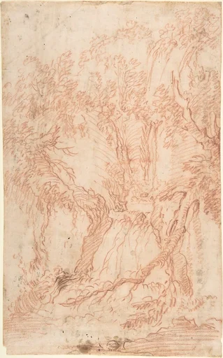 Trees and Rocks