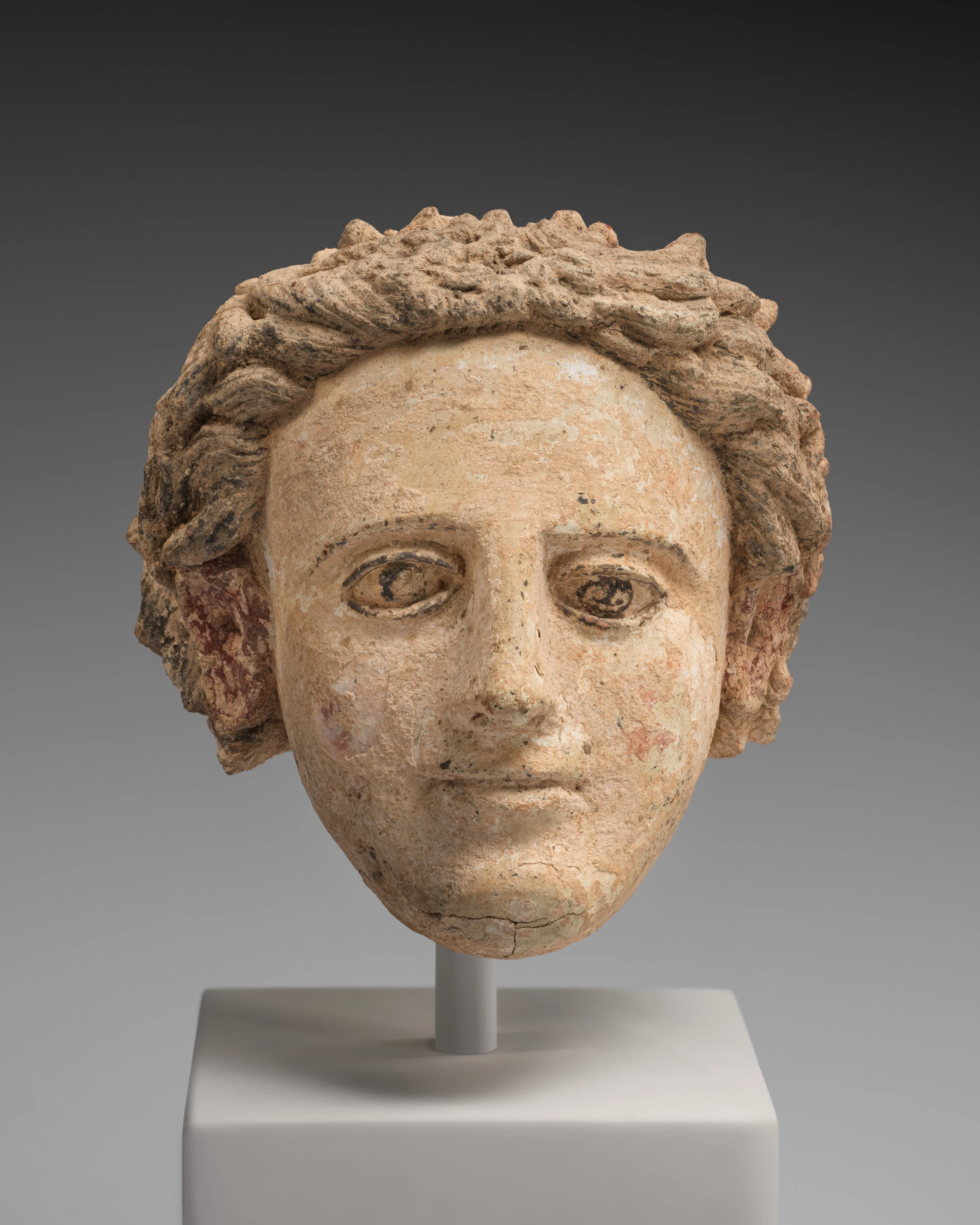 Terracotta head of a youth — Unknown