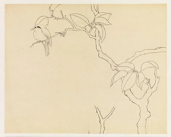 現代 謝稚柳 枝禽圖 鏡片|Bird on a Branch — Xie Zhiliu
