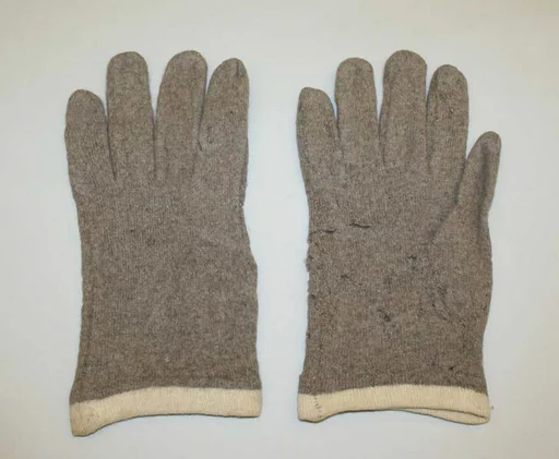 Gloves