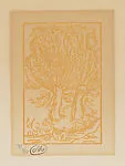 Willows (Saules (Têteaux)) — Philippe Gonin|Aristide Maillol