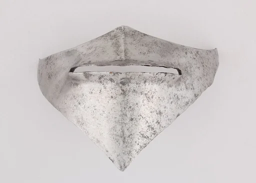 Visor for a Bascinet