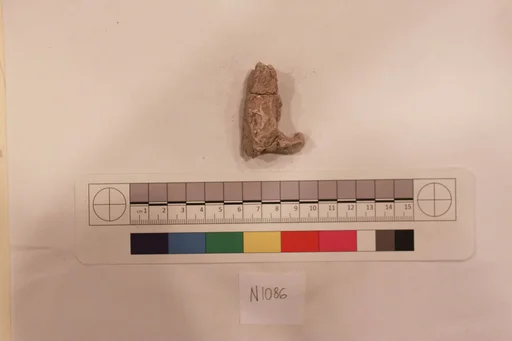 Stucco Fragment