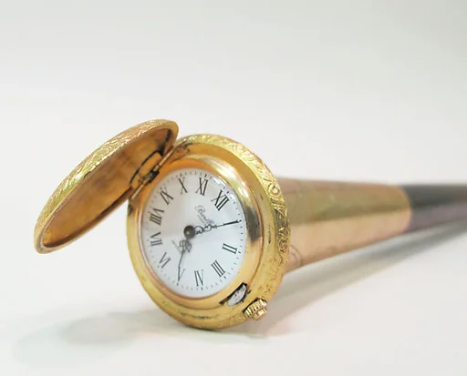 Walking stick