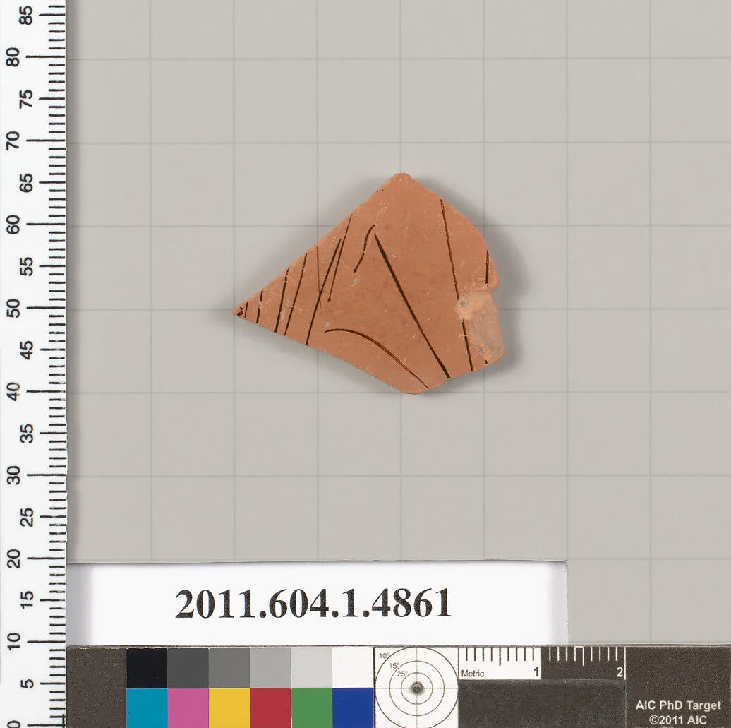 Terracotta fragment of a kylix (drinking cup) — Unknown