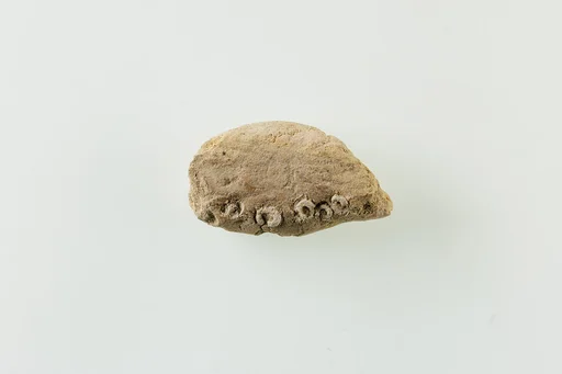 Fragment of clay lump with imbedded ring beads