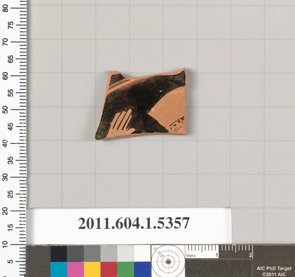 Terracotta fragment of a kylix (drinking cup) — Unknown
