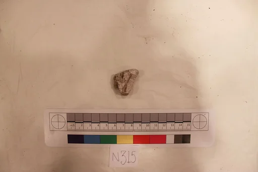 Stucco Fragment