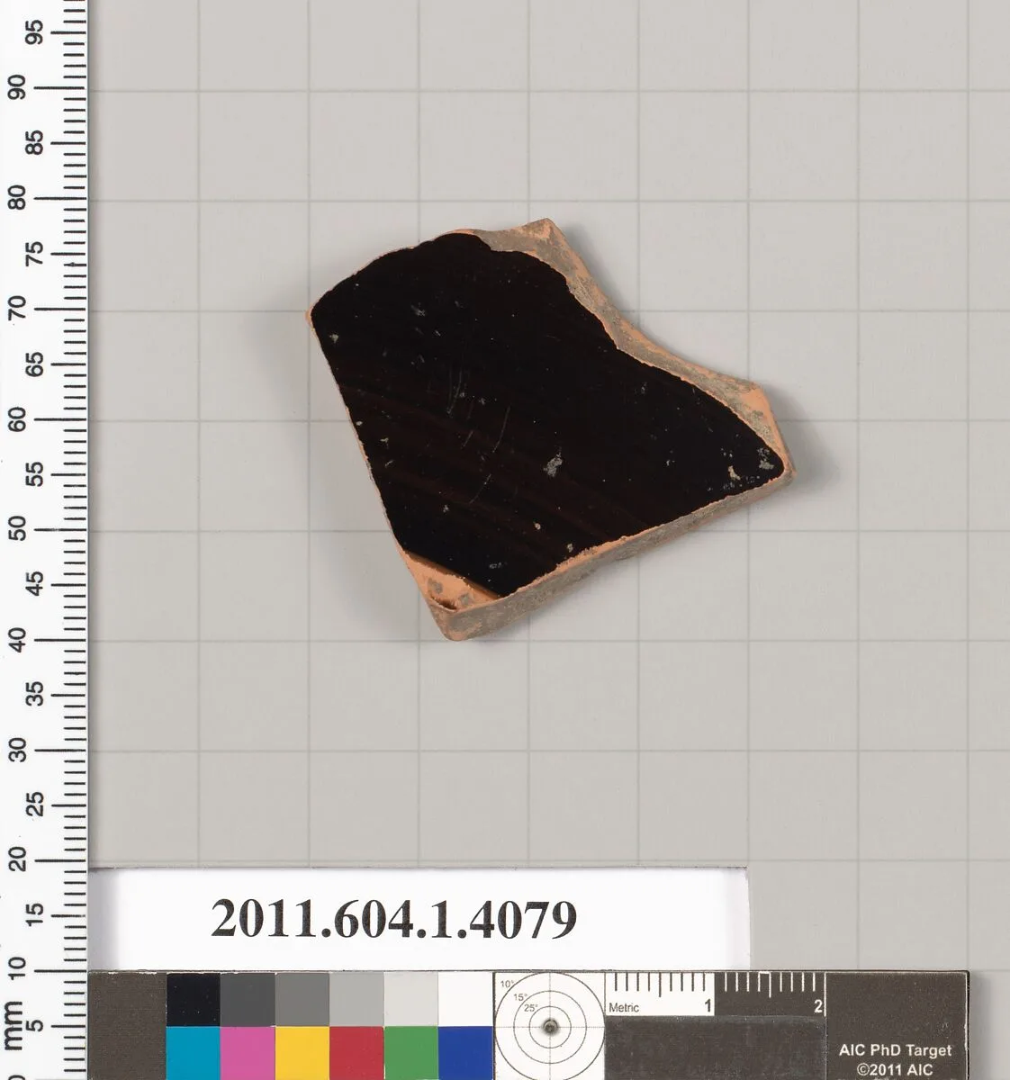 Terracotta fragment of a kylix (drinking cup) — Unknown