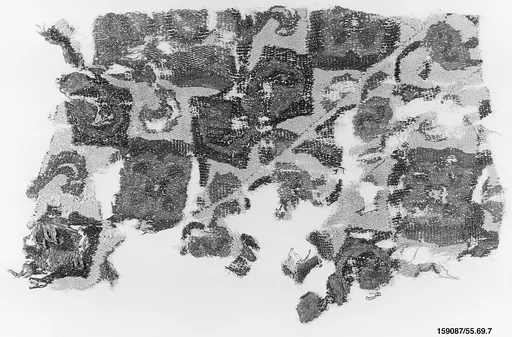 Textile Fragment