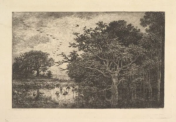Swans in a Marsh — Charles-François Daubigny|Alfred Salmon
