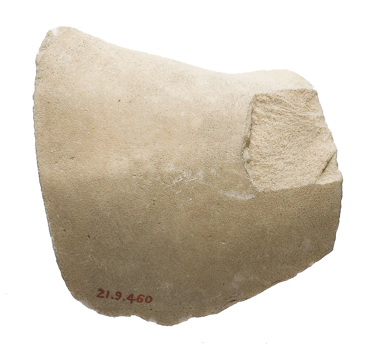 Unidentified fragment — Unknown