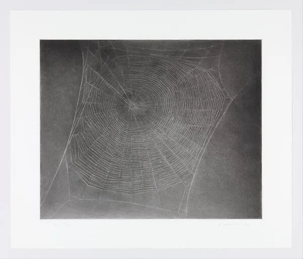 Untitled (Web 4) — Carmen Schilaci|Jennifer Turner|Vija Celmins|Gemini G.E.L.