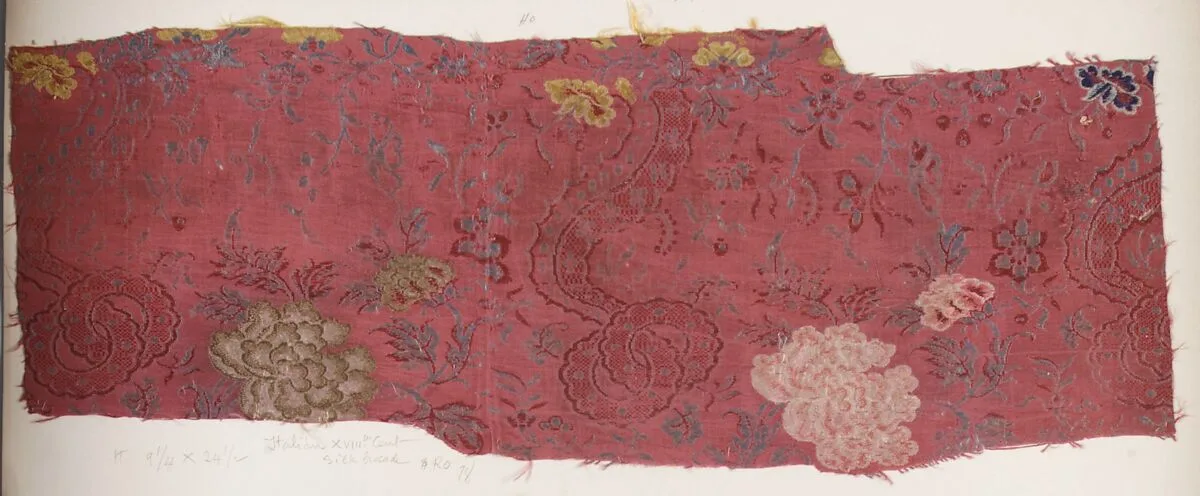 Fragment — Unknown