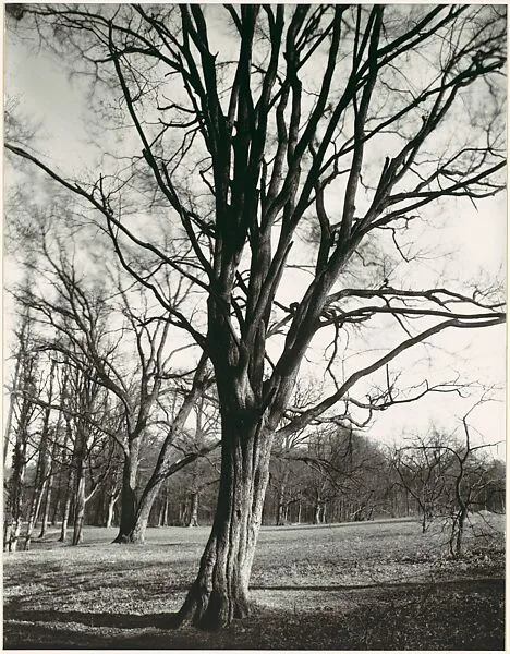 Environs of Paris — Eugène Atget