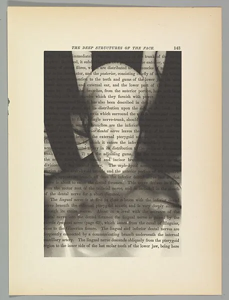 untitled (GN; structure face) — Robert Flynt