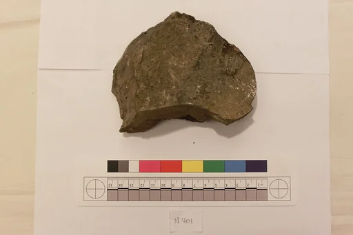 Stucco Fragment