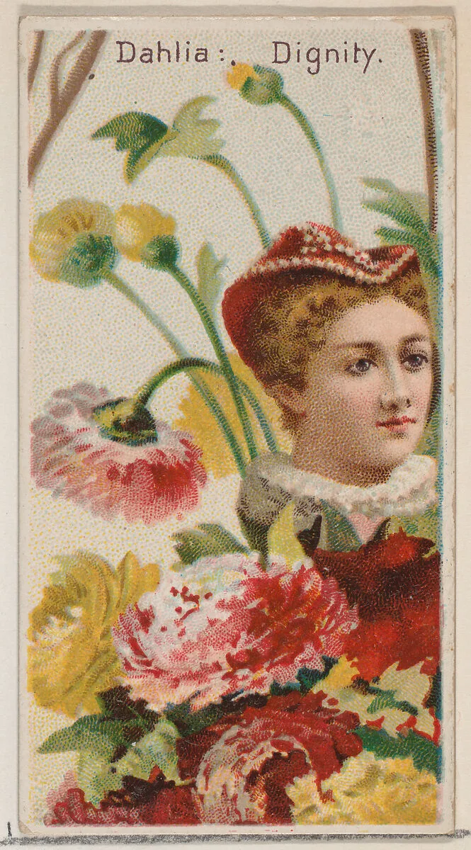 Dahlia: Dignity, from the series Floral Beauties and Language of Flowers (N75) for Duke brand cigarettes — Donaldson Brothers|American Tobacco Company