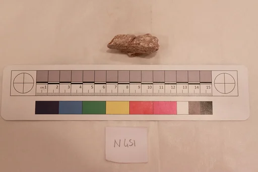 Stucco Fragment