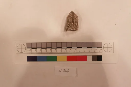 Stucco Fragment