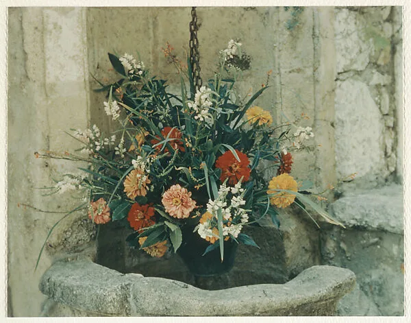 France - Colombe D'Un — Peter Fink