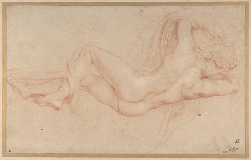 Hermaphrodite